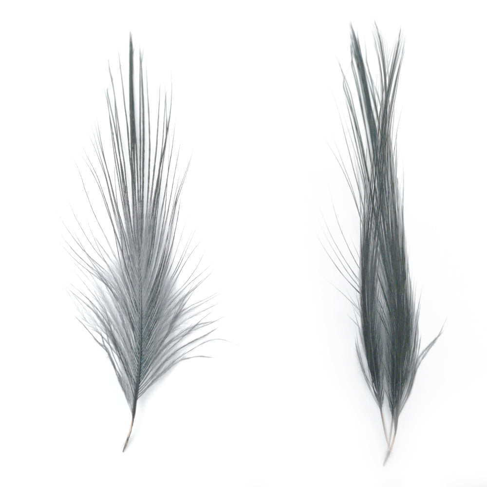 HERON FEATHERS
