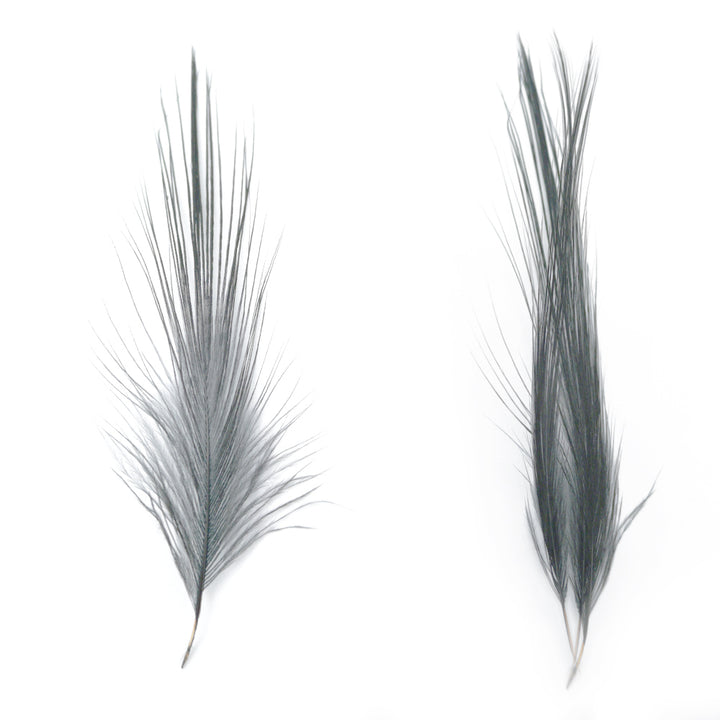 HERON FEATHERS