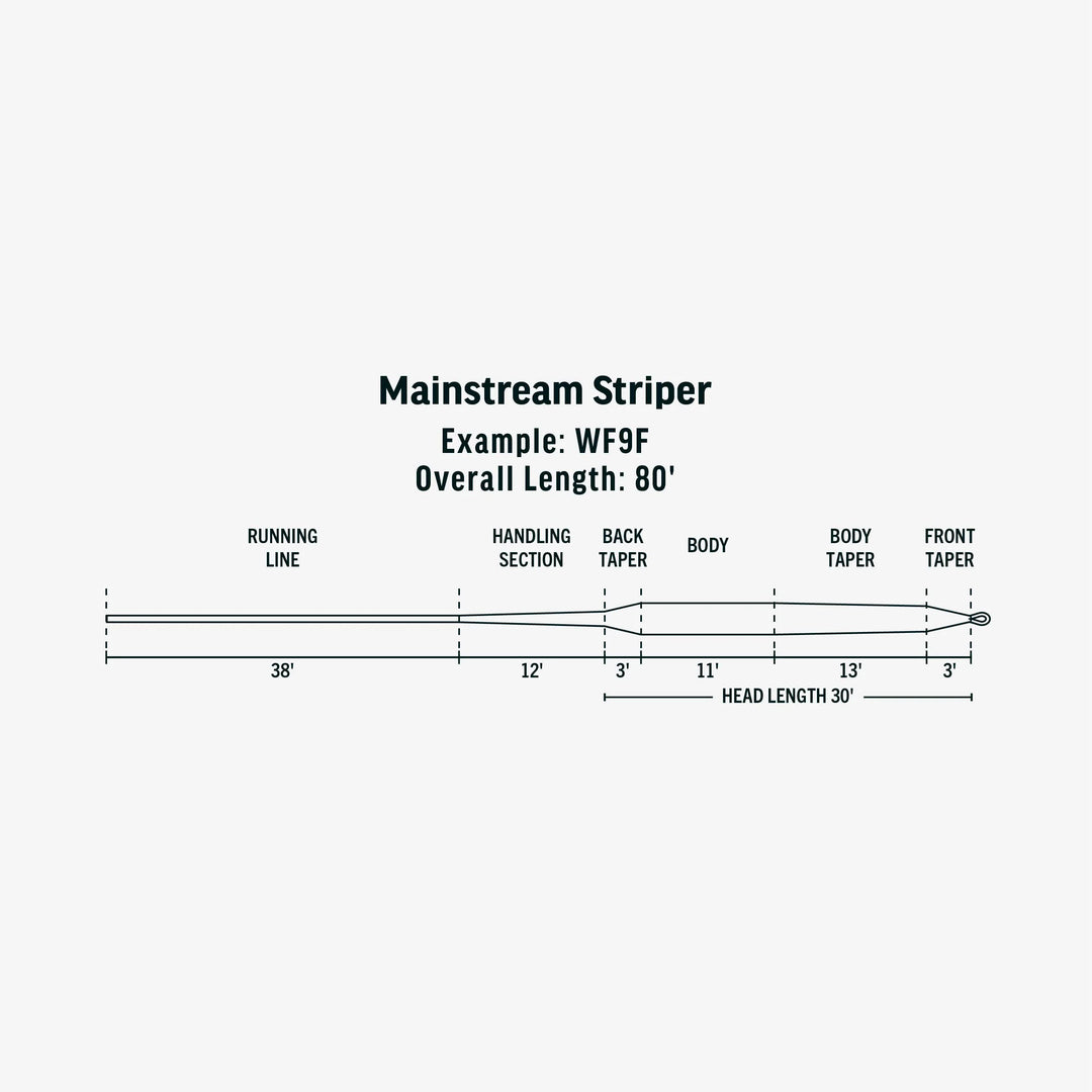 MAINSTREAM STRIPER