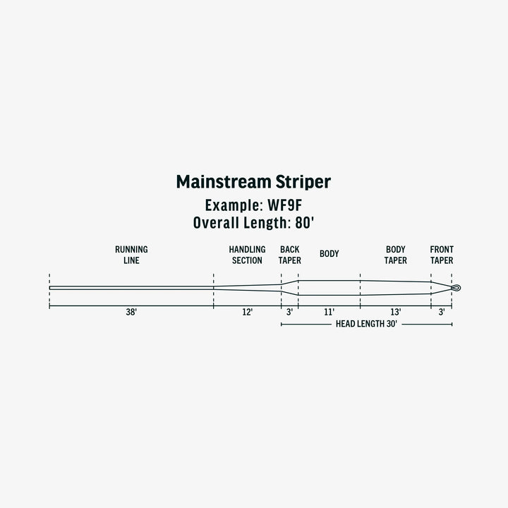 MAINSTREAM STRIPER