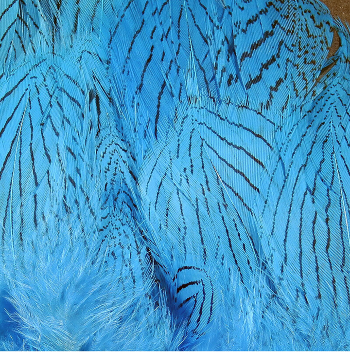 SILVER PHEASANT BODY STRUNG