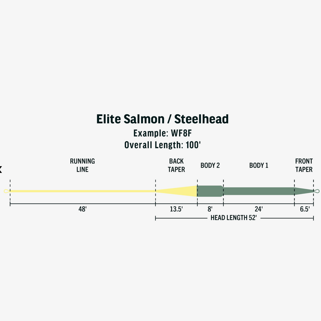 ELITE SALMON/STEELHEAD FLY LINE