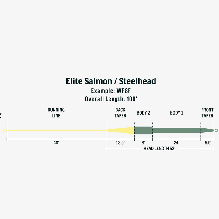 ELITE SALMON/STEELHEAD FLY LINE