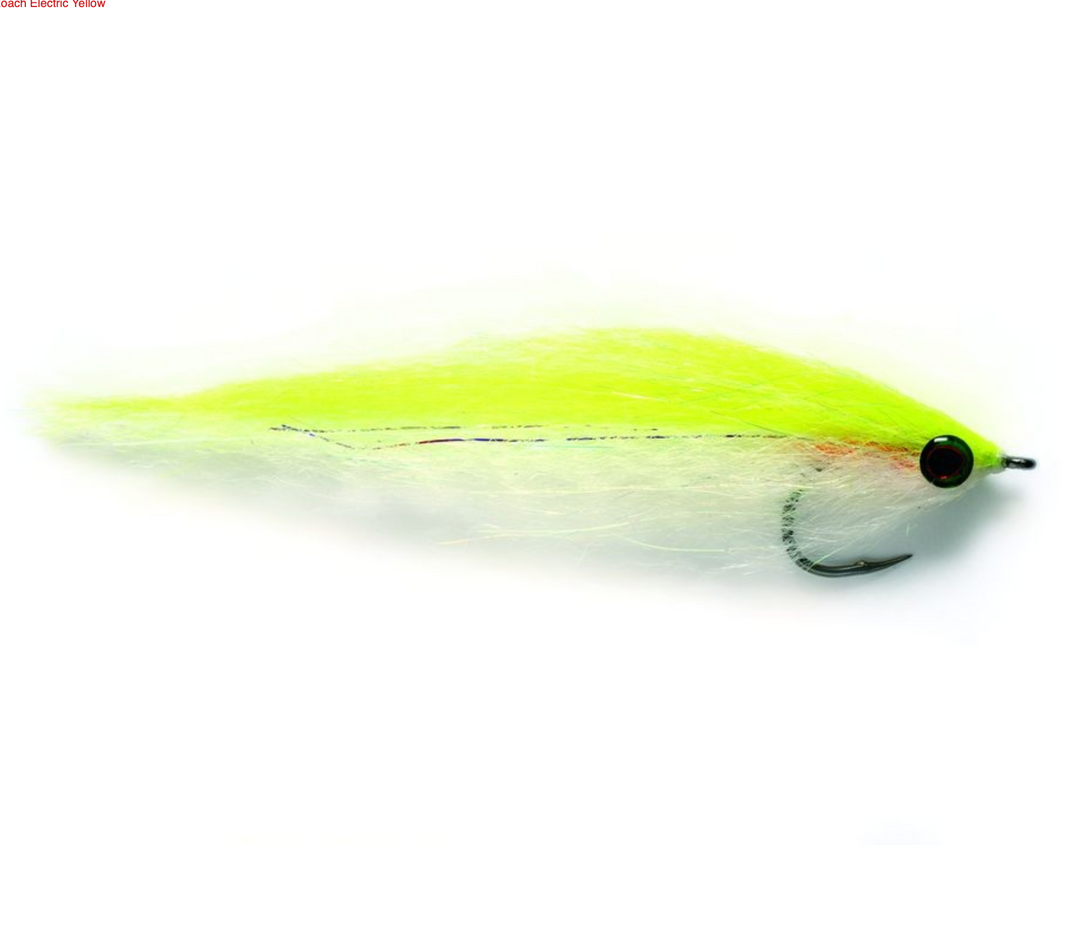 Dougie's Roach Electric Yellow