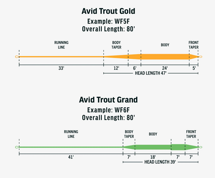 AVID TROUT—GOLD