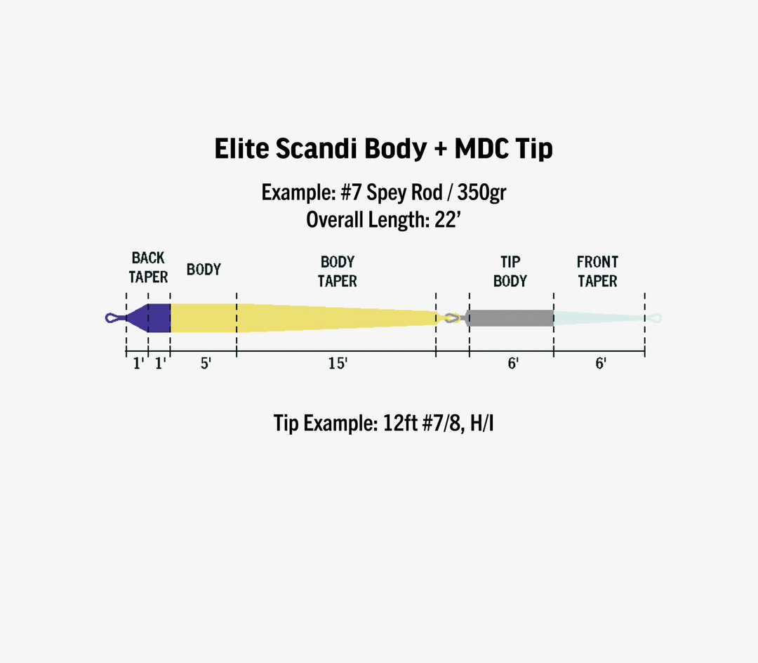 ELITE SCANDI MDC-KIT SHORT
