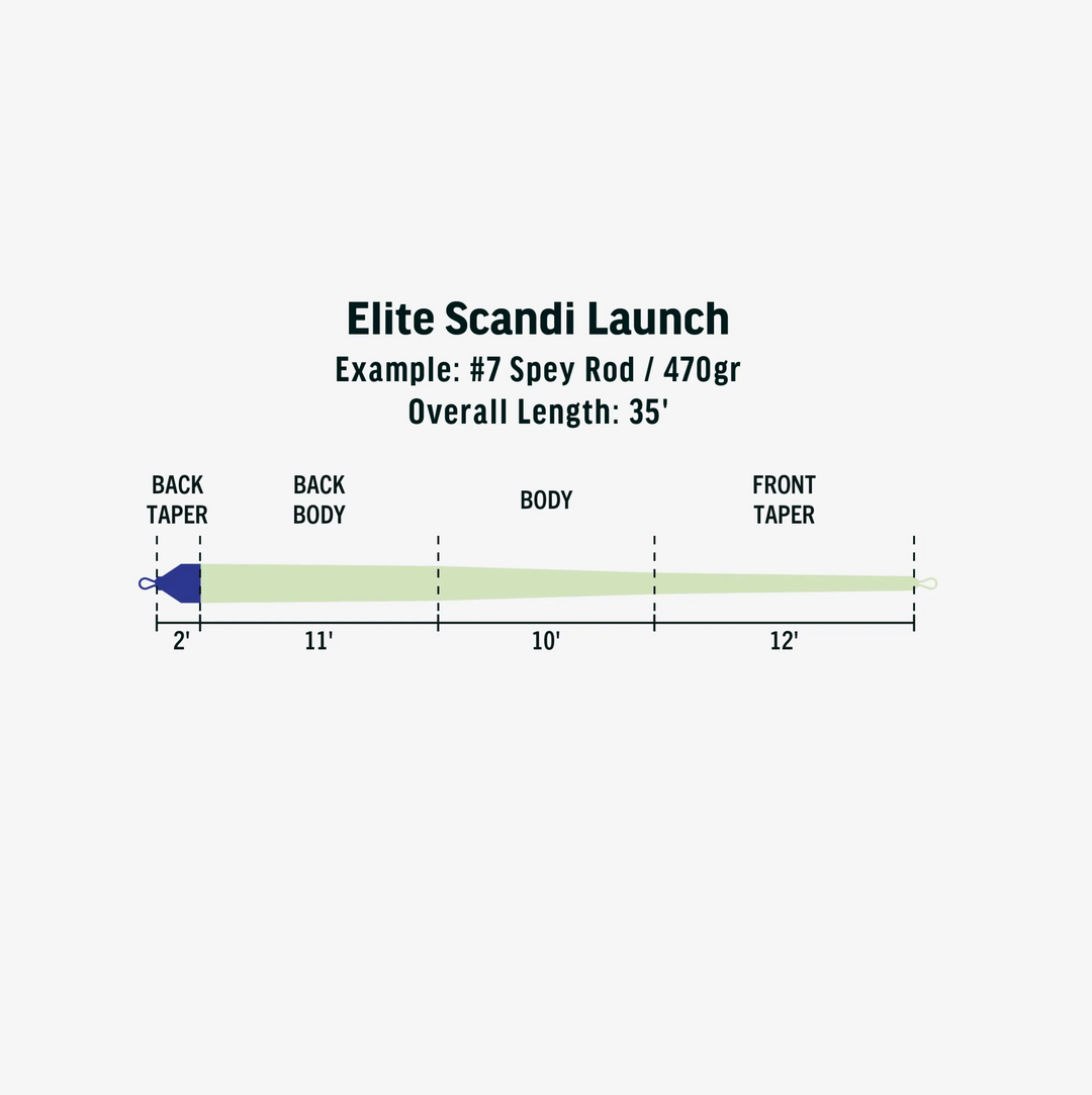ELITE SCANDI LAUNCH