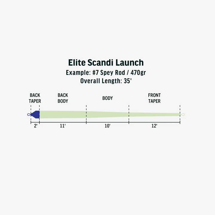 ELITE SCANDI LAUNCH