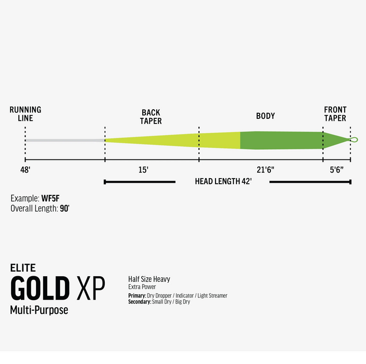 ELITE GOLD XP