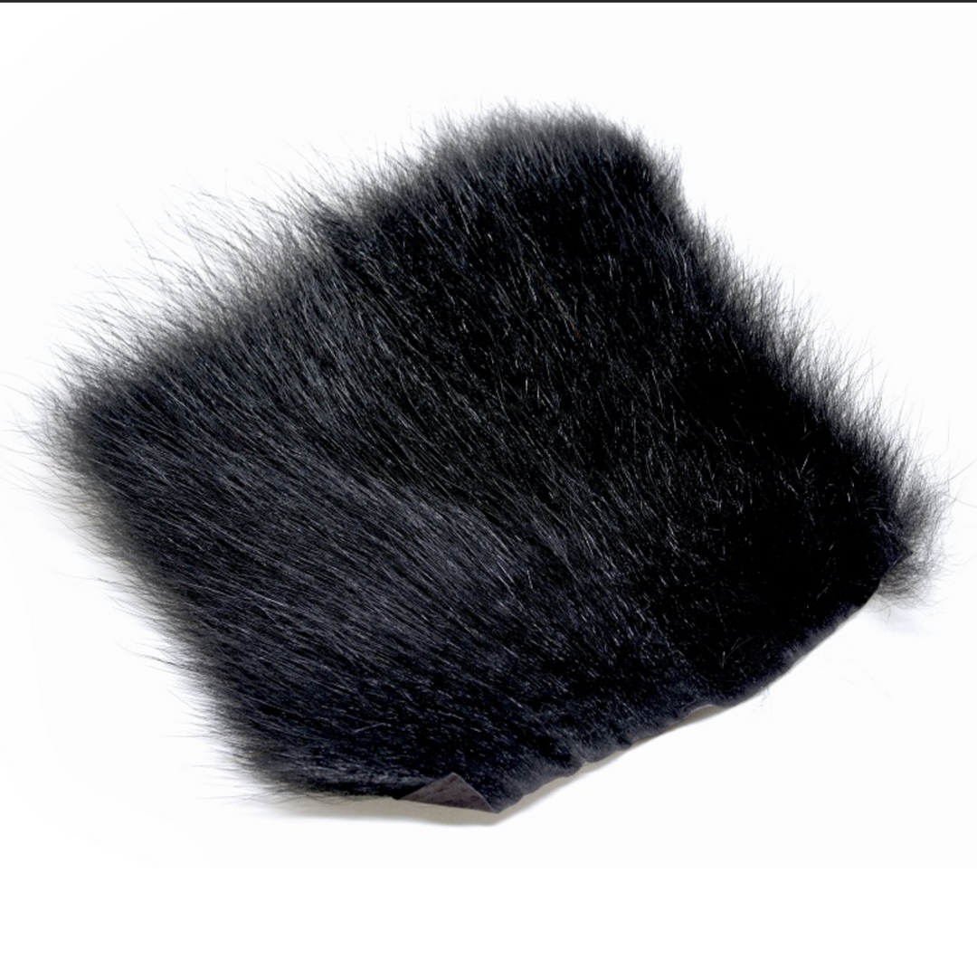 American Opossum