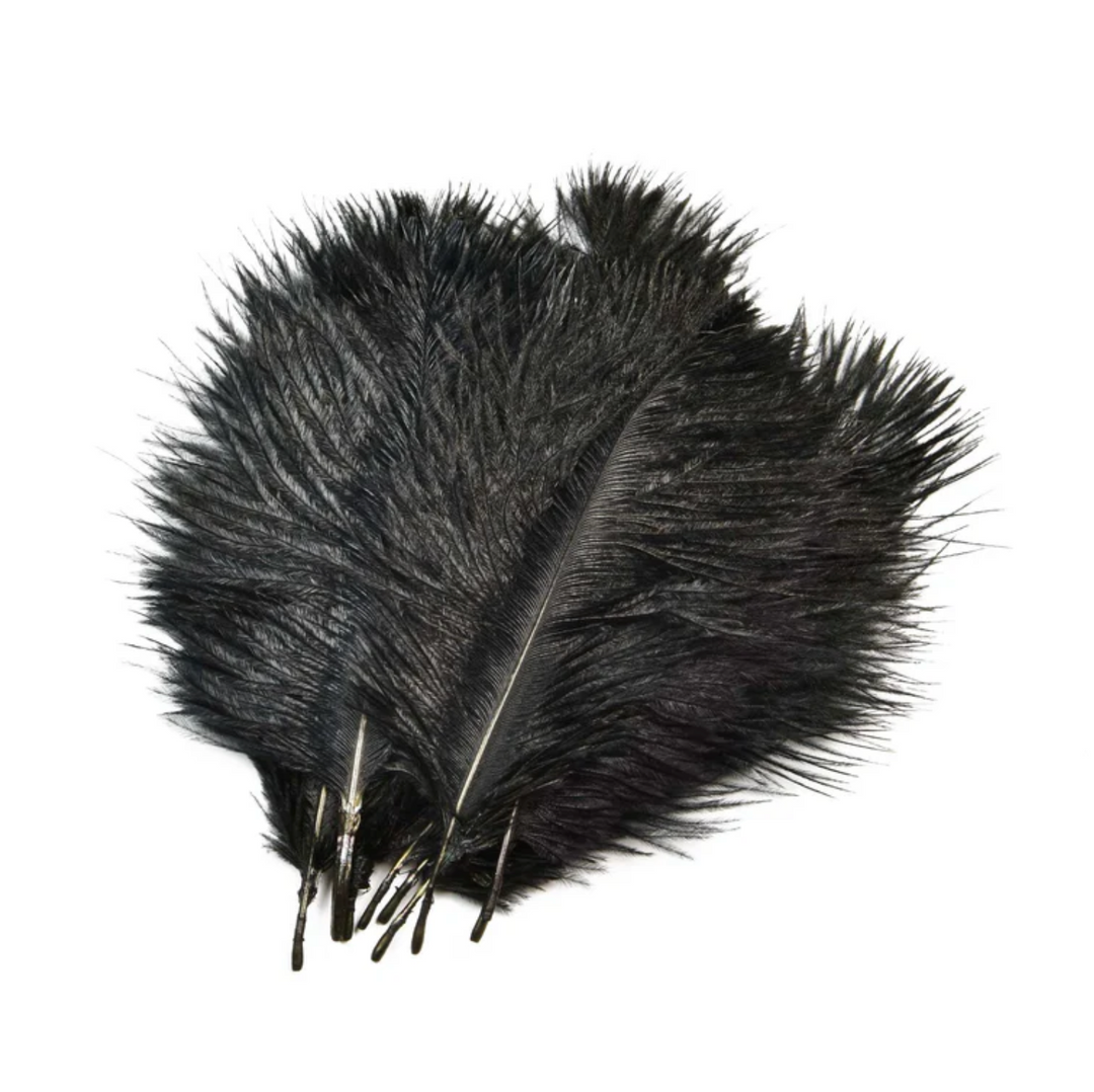 SNS Ostrich Feathers