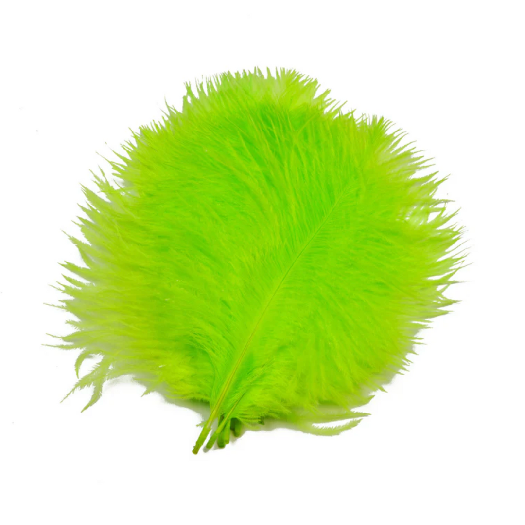 SNS Ostrich Feathers