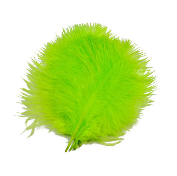 SNS Ostrich Feathers