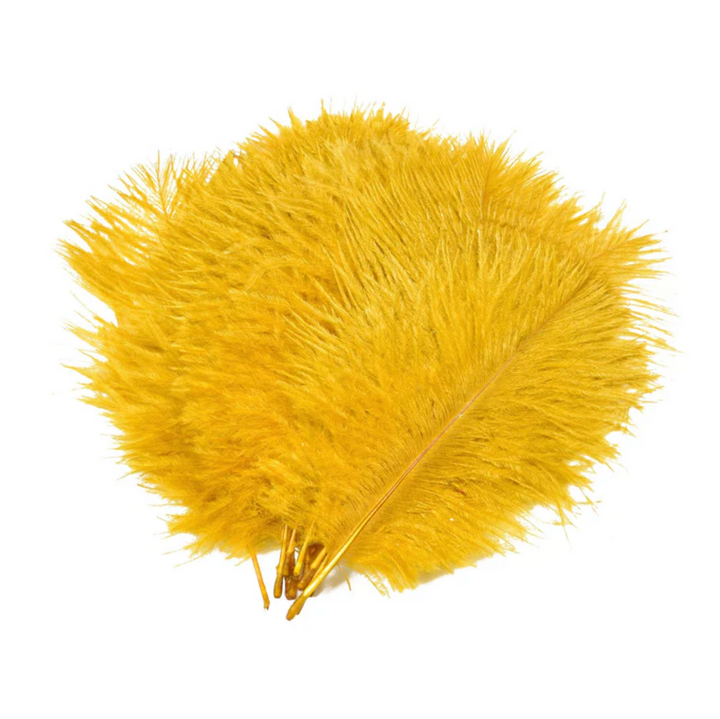 SNS Ostrich Feathers