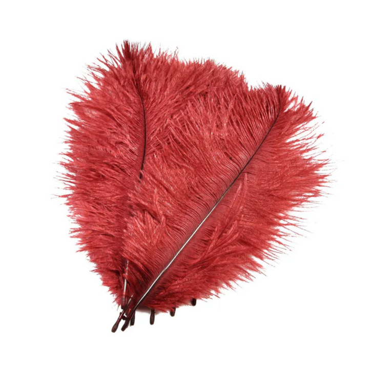 SNS Ostrich Feathers