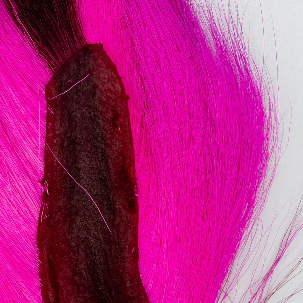 BUCKTAIL