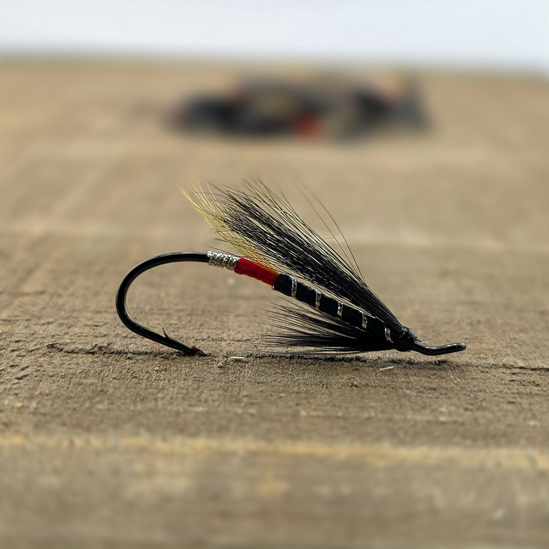 Black Bear - Red Butt