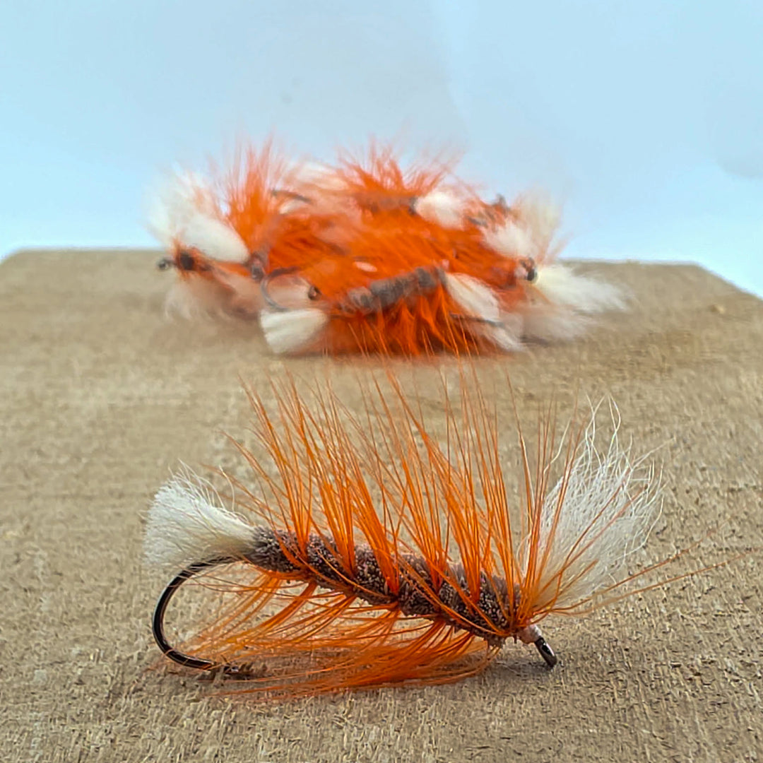 DIRTY | Natural/Orange Hackle