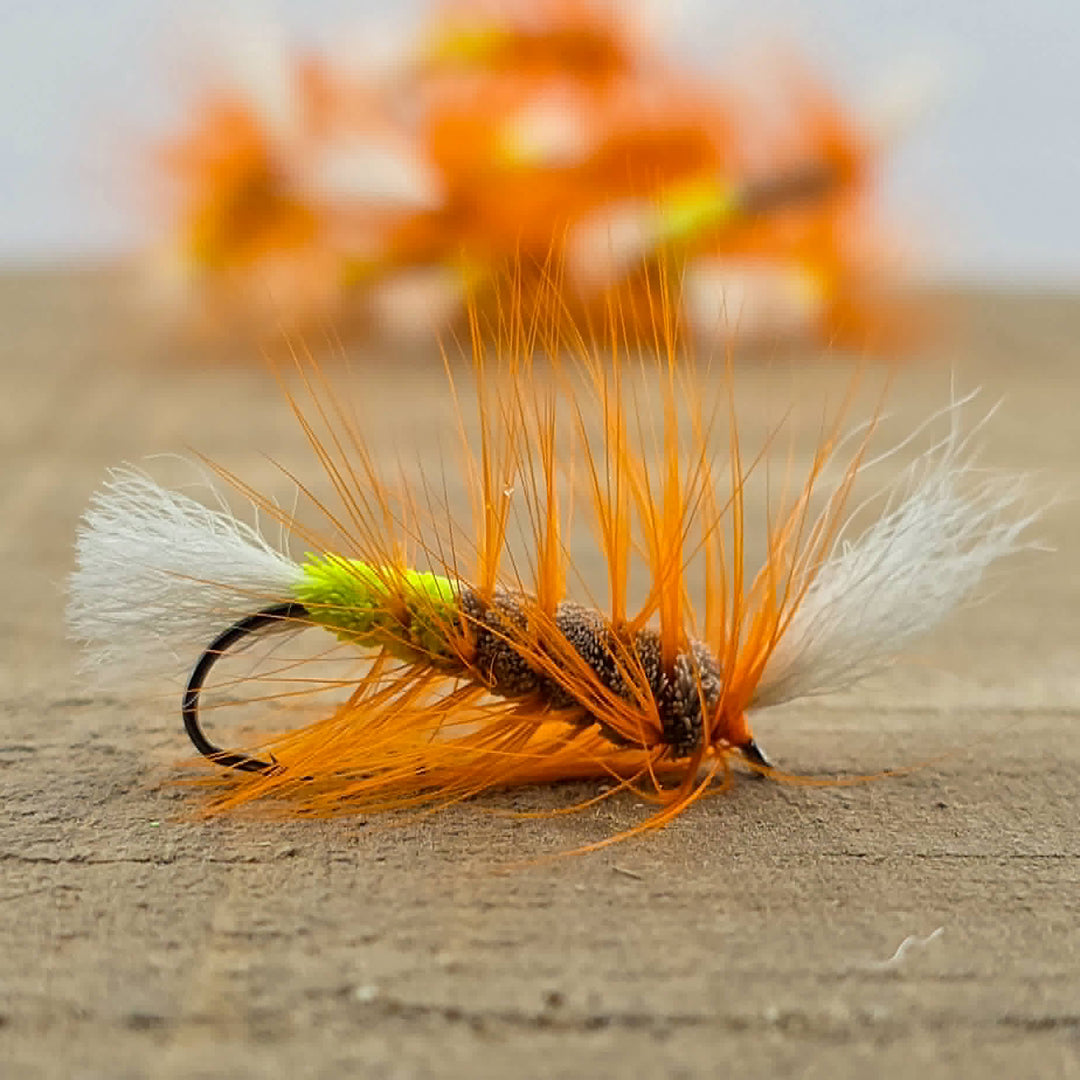 DIRTY | Natural/Chartruse Butt/Orange Hackle