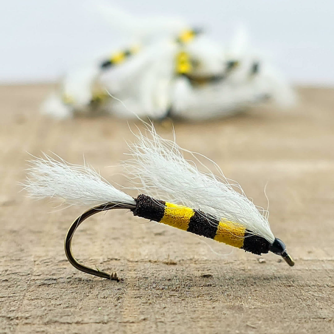 Bee Paddy Francis - Split Wing