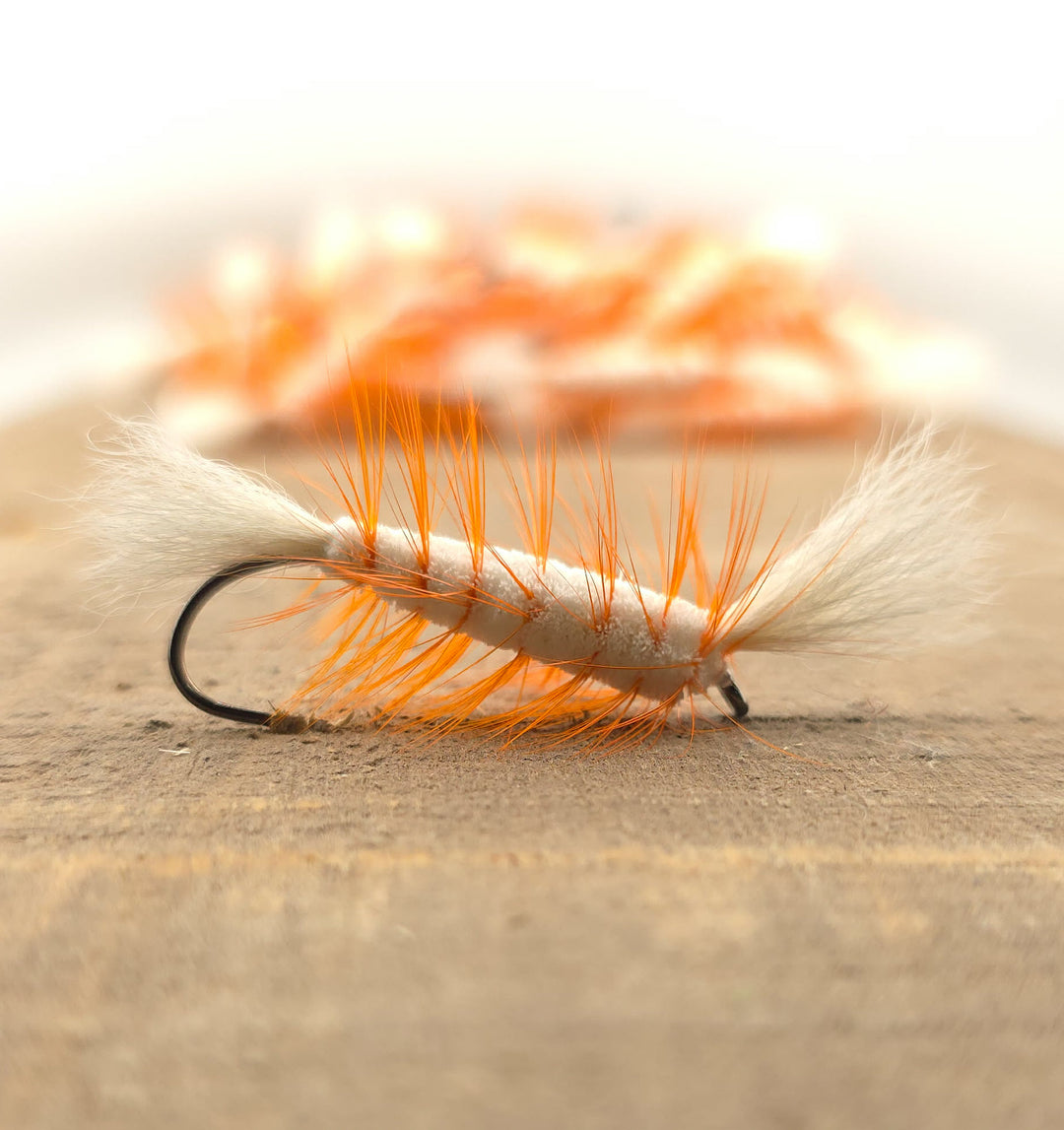 White - Orange Hackle