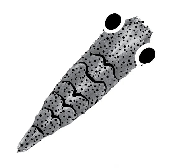 SHRIMP SHELL GEN2