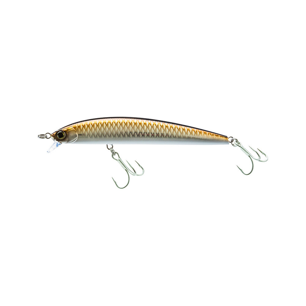 HYDRO MINNOW LC