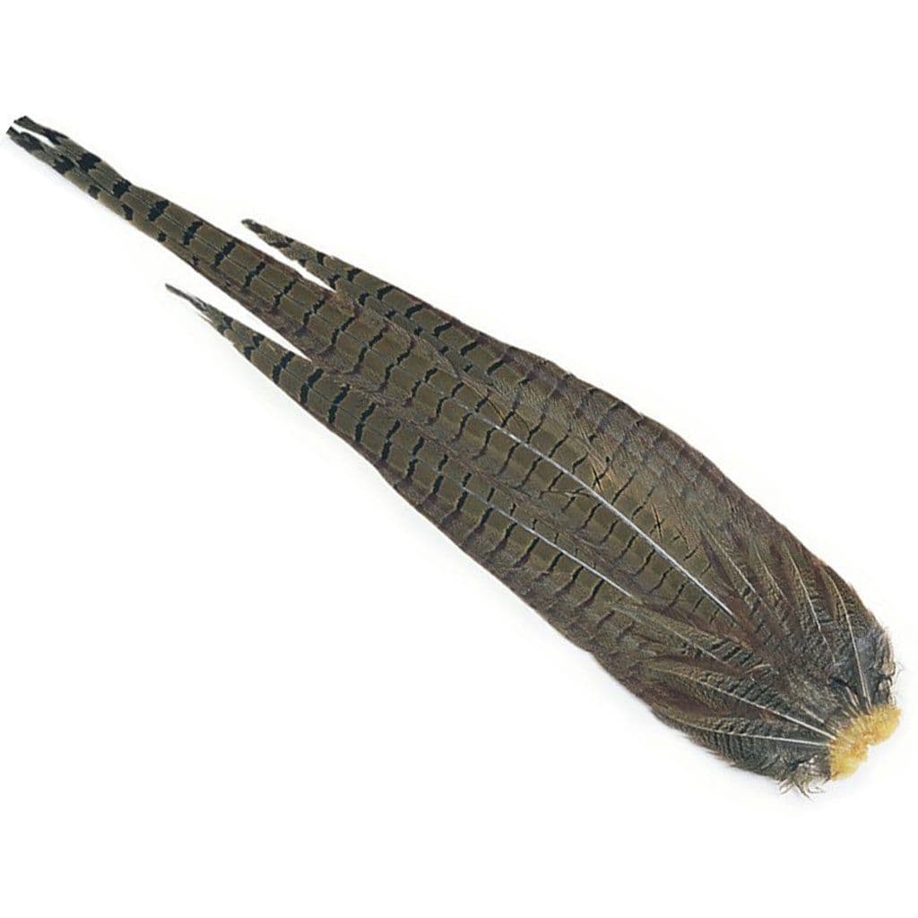 Cock Pheasant Complete Tails