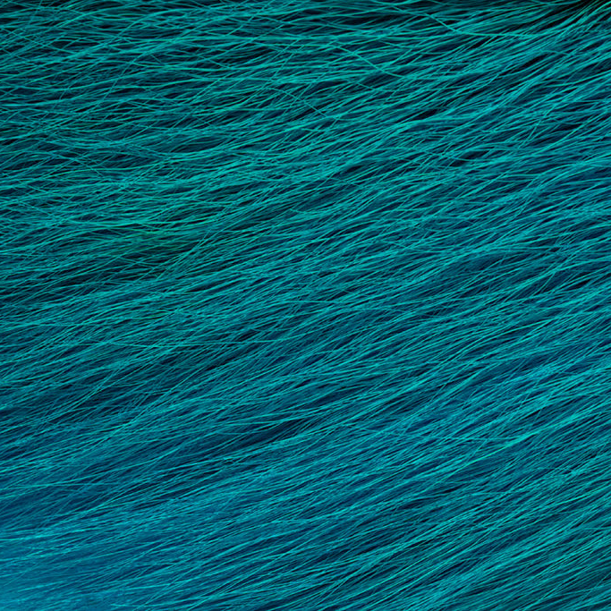 PREMIUM SELECTED BUCKTAIL